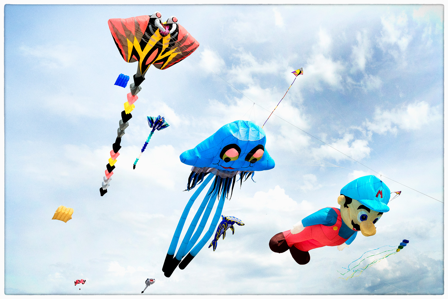 Cerfs-volants Cayeux